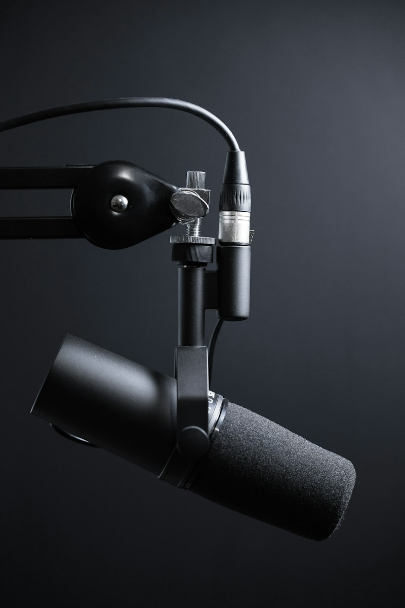 Voice cloning microphone